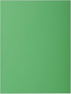 Exacompta - ref. 210004E - Set van 100 felgekleurde dossiermappen - ROCK''S - 210 g/m2 - in PEFC™ certified folders - Afmetingen: 24 x 32 cm for A4 format - fir colour