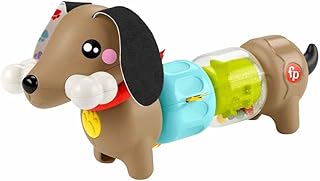 Fisher-Price Zintuiglijk babyspeelgoed, FP Pets Klikken en Draaien Puppy, activiteiten voor de fijne motoriek, voor baby's vanaf 6 maanden, HTW91