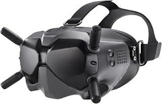 DJI FPV Goggles V2
