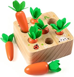 Houten speelgoed vanaf 1 jaar, stimuleert de baby-motoriek, vanaf 12 maanden, voor jongens en meisjes, Montessori-sorteerspel, houten puzzel, educatief speelgoed voor kinderen, cadeau-idee