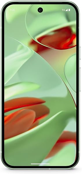 Google Pixel 9 Smartphone Android con Gemini - tweedehands - zeer goed — outlet/retourdeal