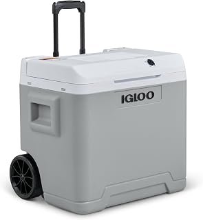 IGLOO IE42 elektrische koelbox 42L – 12V en 230V – Thermo-elektrische koelbox met wielen en telescoopgreep voor auto, camper, camping en vrachtwagen – Koelt tot 20 °C onder de omgevingstemperatuur
