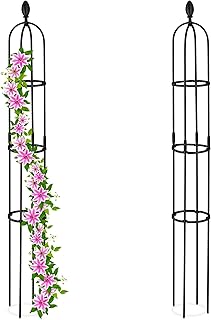 Relaxdays plantensteun klimplanten, set van 2, 160 x 20 cm, metaal, kunststof, tuin, klimplantensteun buiten, zwart