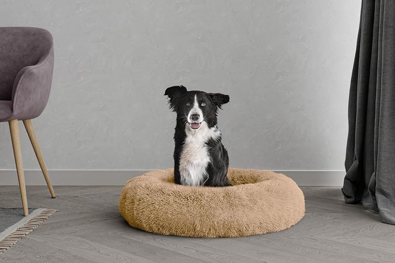 Italian Bed Linen Dreams Sogni e Capricci Pets, zacht polyester, vanille, 70 x 70 cm