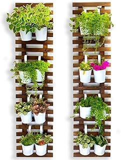 ShopLaLa Wandplantenbak - 2 stuks, houten hangende grote plantenbakken voor binnen en buitenplanten, levende verticale tuin, plantenmuurbevestiging, bloempothouder, hangstandaard, groen kruid