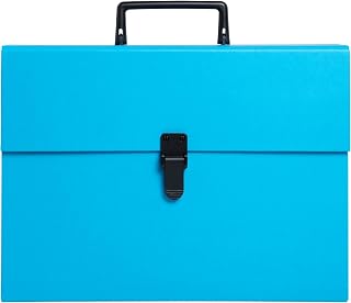 Exacompta - Ref. 58422E - Doos van 4 sorteerkoffers met handvat Economique - omslag in papier - sluiting met drukknop - 20 vakken - afm. 34 x 25 x 8 cm - kleur turkoois