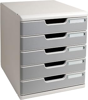 Exacompta - ref. 301041D - Organisatiesysteem - Ladebox MODULO A4 met 5 gesloten laden voor A4+ documenten - Afmetingen: Diepte 35 x Breedte 28,8 x Hoogte 32 cm - Lichtgrijs/graniet