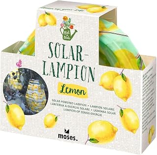 moses. Blad & bloesem Solarlampion – sfeervolle zonnelamp in design, met warmwit ledlicht, automatisch oplaadbaar, weerbestendig (IP44), voor tuin, balkon en terras, inclusief geschenkdoos