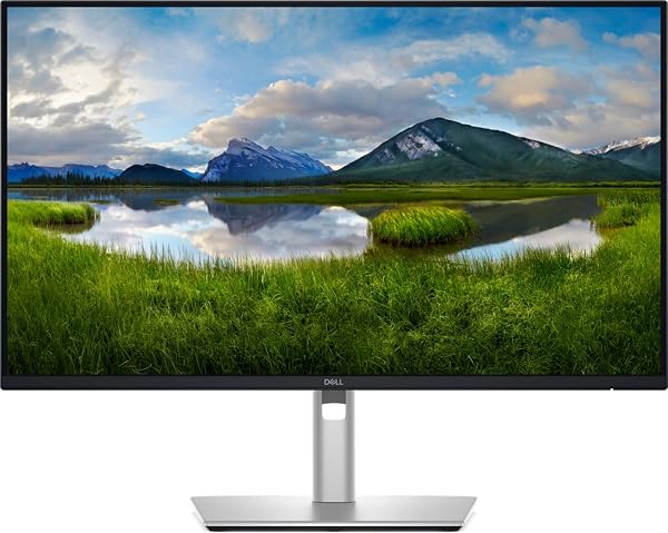 Dell Pro 24 Plus QHD Monitor P2425D - outlet/retourdeal