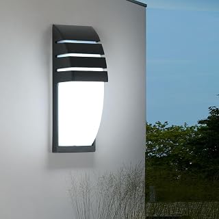 Binnen/Buiten Muurlamp, Zwarte 12W 6000K Koel Witte LED-Muurlamp, IP65 Waterdichte Buitenmuurlamp voor Tuin, Tuin, Terras, Patio