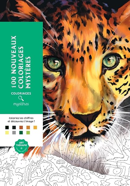 Coloriages mystères 100 Nouveaux coloriages Mystères - tweedehands - goed — outlet/retourdeal