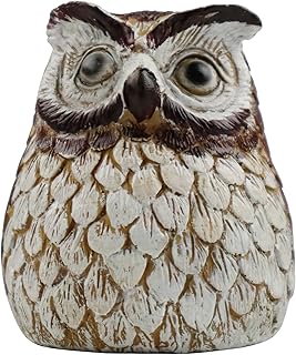 Verberg een Sleutel Outdoor Sleutel Hiders Waterdichte Sleutel Veilig Opslag Lock Box Voor Buiten Tuin Ornament Grote Maat Ontwerp Huis Reservehouder Uil