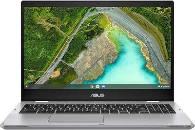 Asus CX1500CKA-NJ0400 15,6 inch FHD laptop (Intel Celeron N4500 2,8 GHz, 8 GB LPDDR4X, 128G eMMC, Intel UHD Graphics, Chrome OS) - AZERTY-toetsenbord