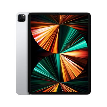 Apple iPad Pro 12 9-inch zilver 2021 512GB Wi-Fi - refurbished — outlet/retourdeal