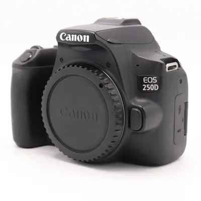 Canon EOS 250D body occasion