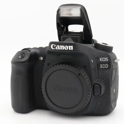 Canon EOS 80D body occasion