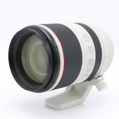 Canon RF 70-200mm f/2.8 L IS USM occasion